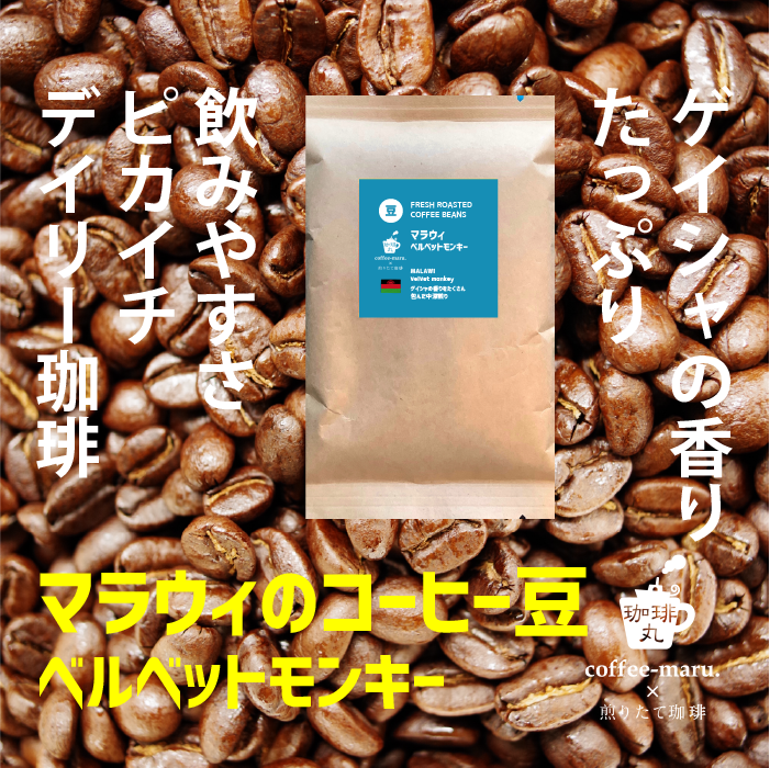 マラウィのコーヒー豆