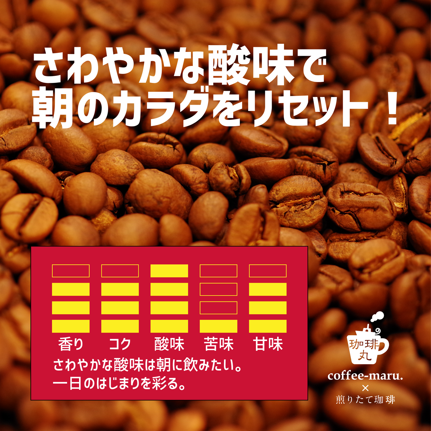 コンゴのコーヒー豆