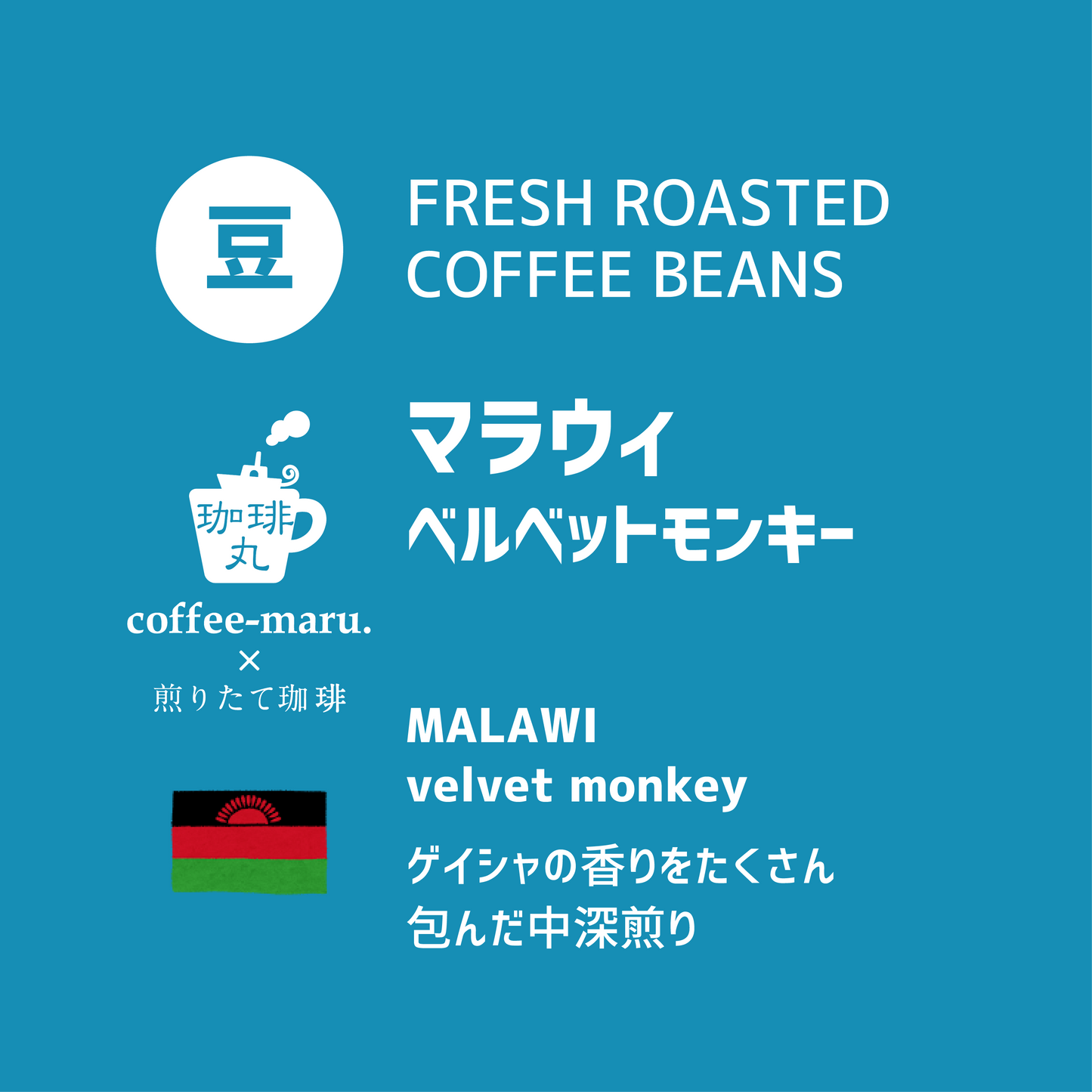 マラウィのコーヒー豆