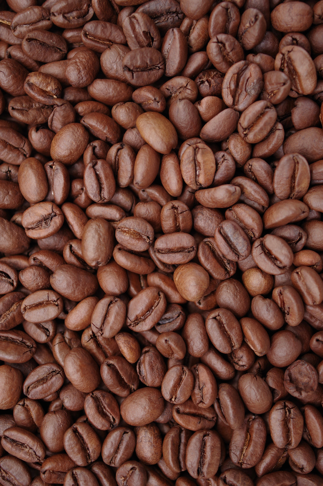 「スペシャルティコーヒー＝浅煎り」なの？