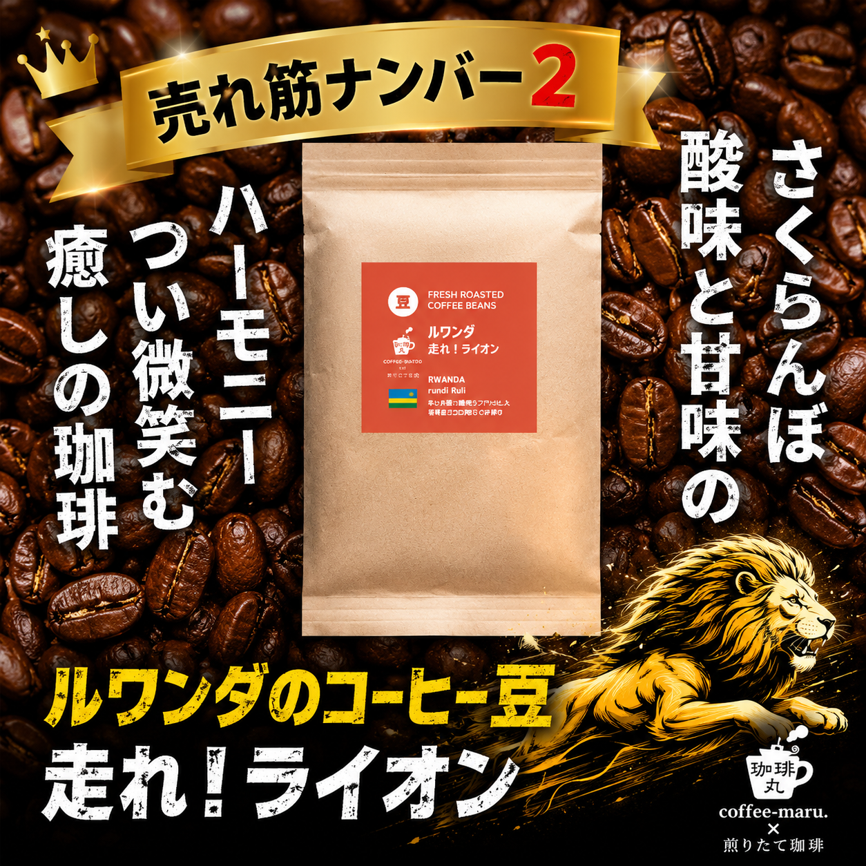 ルワンダ 走れ！ライオン