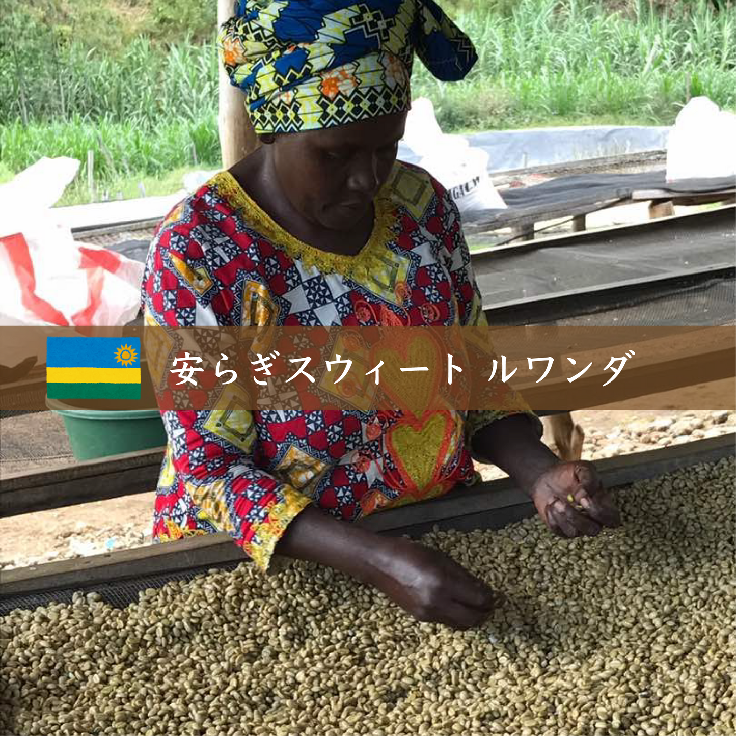 ルワンダのコーヒー豆