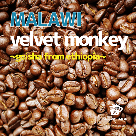 マラウィのコーヒー豆