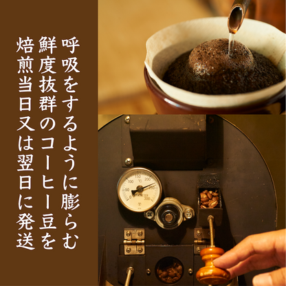 【深煎り】ケニア マサイＡＡ