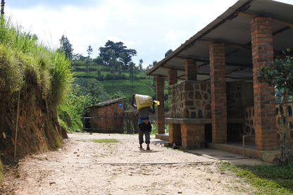 ルワンダ 走れ！ライオン