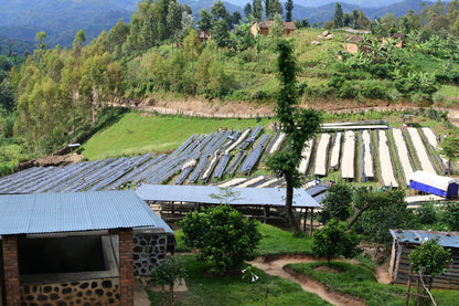 ルワンダ 走れ！ライオン