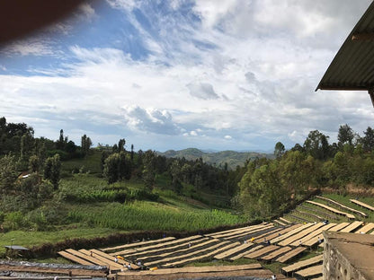 ルワンダ 走れ！ライオン