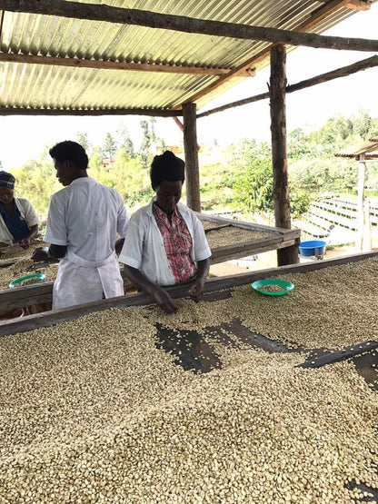 ルワンダ 走れ！ライオン