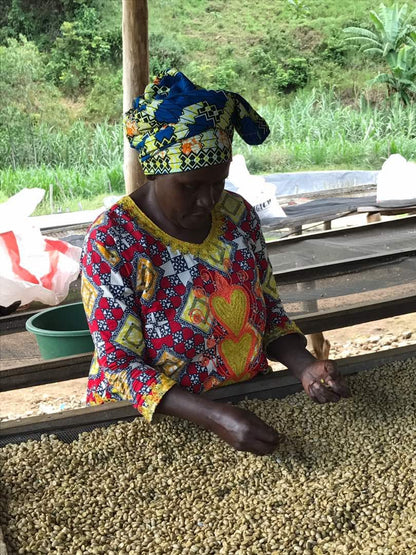 ルワンダ 走れ！ライオン