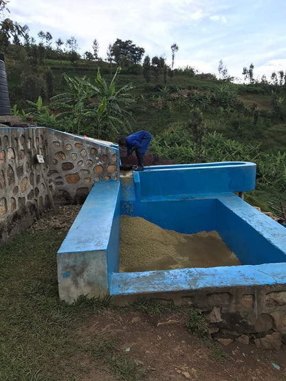 ルワンダ 走れ！ライオン