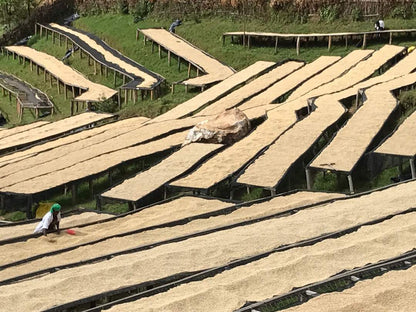 ルワンダ 走れ！ライオン